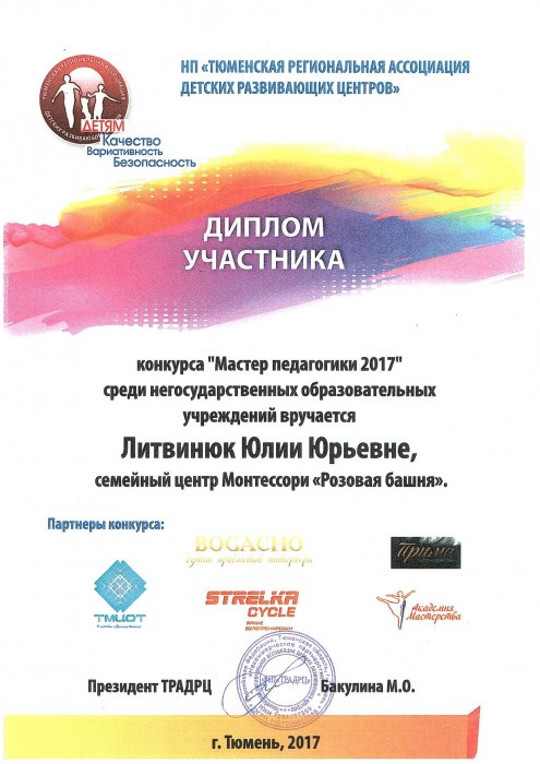 Мастер педагогики 2017 года